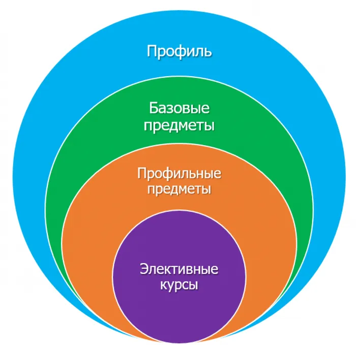 -база-курсы